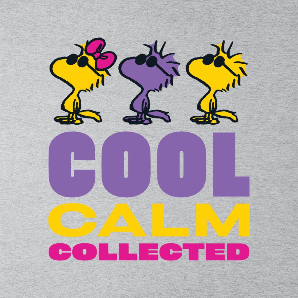 Peanuts Woodstock Cool Calm Collected Men's Sweatshirt-ALL + EVERY