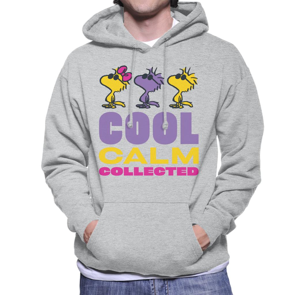 Peanuts Woodstock Cool Calm Collected Men's Hooded Sweatshirt-ALL + EVERY