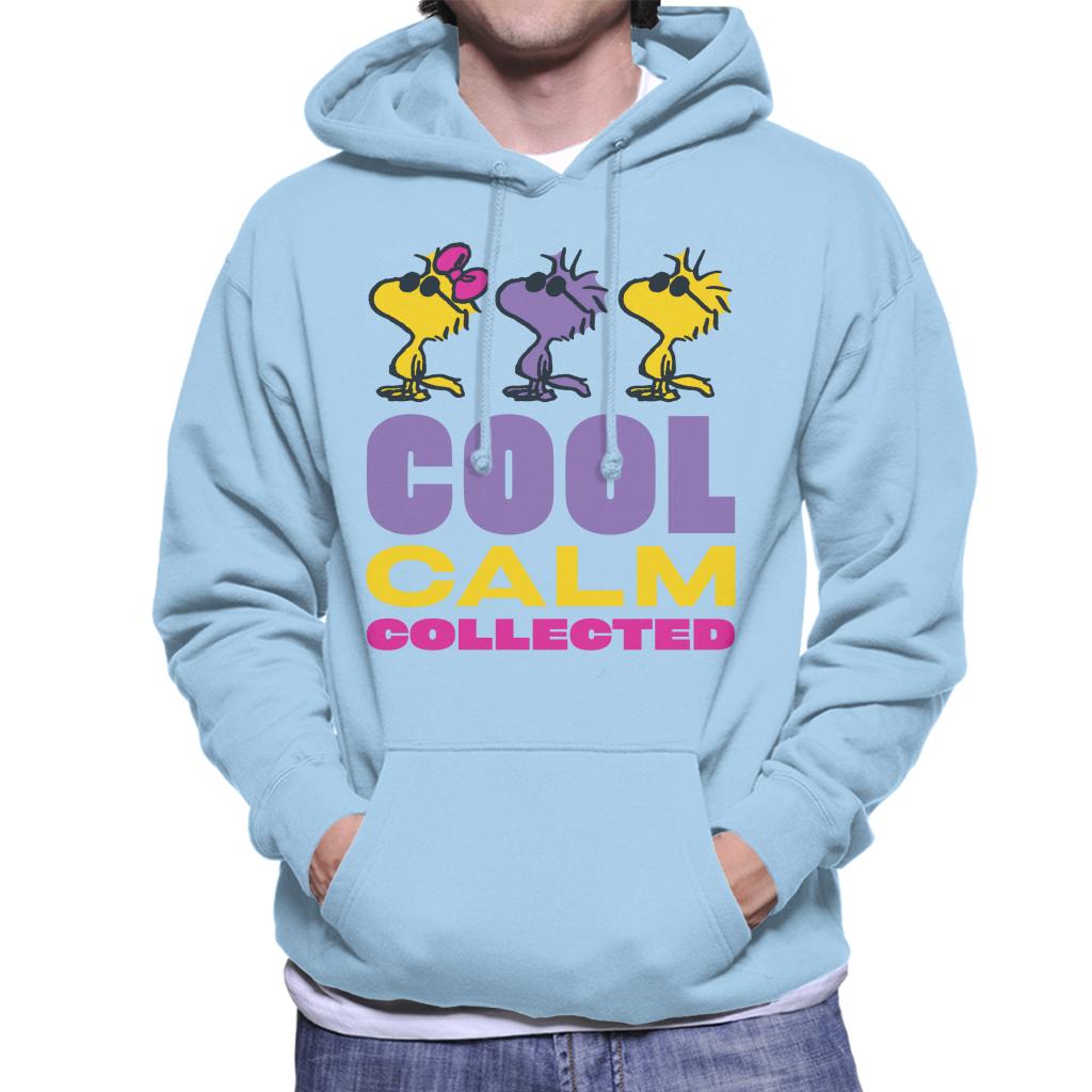 Peanuts Woodstock Cool Calm Collected Men's Hooded Sweatshirt-ALL + EVERY