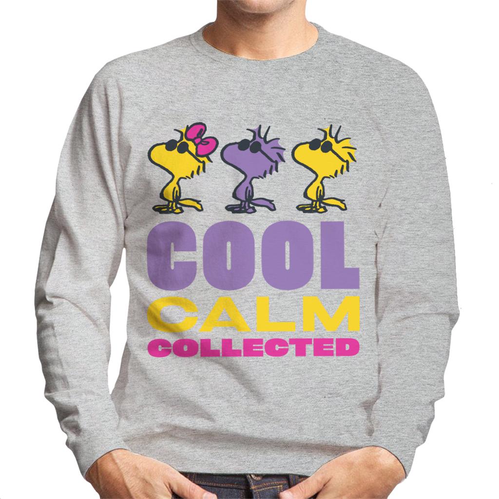 Peanuts Woodstock Cool Calm Collected Men's Sweatshirt-ALL + EVERY