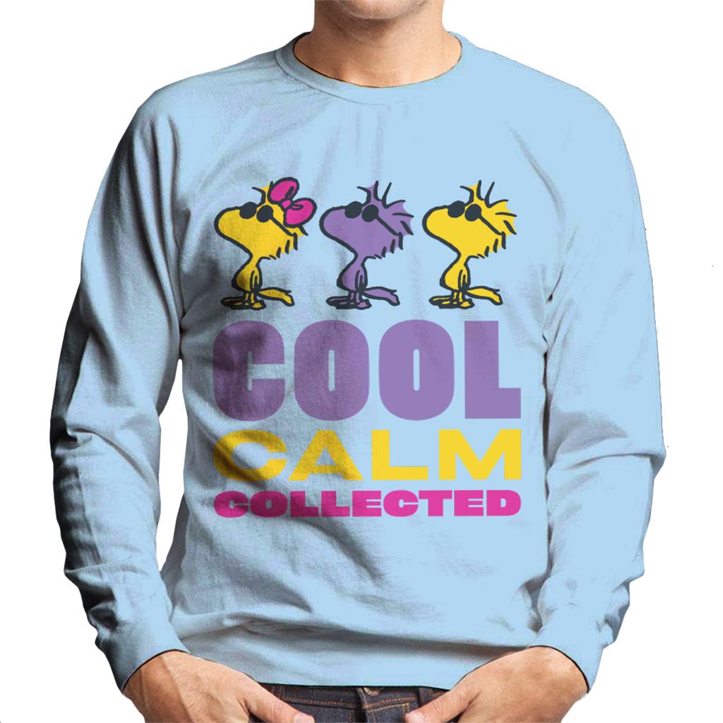 Peanuts Woodstock Cool Calm Collected Men's Sweatshirt-ALL + EVERY