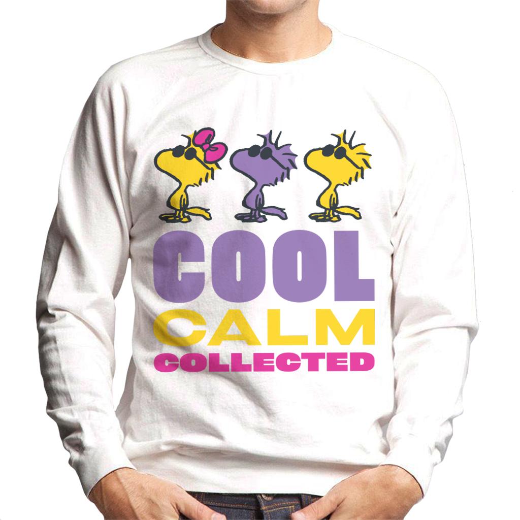 Peanuts Woodstock Cool Calm Collected Men's Sweatshirt-ALL + EVERY