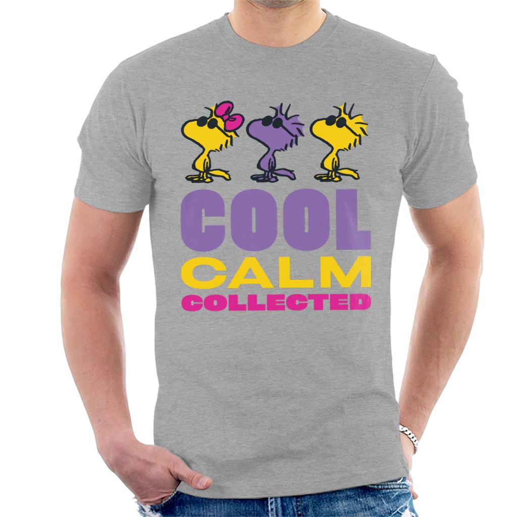 Peanuts Woodstock Cool Calm Collected Men's T-Shirt-ALL + EVERY