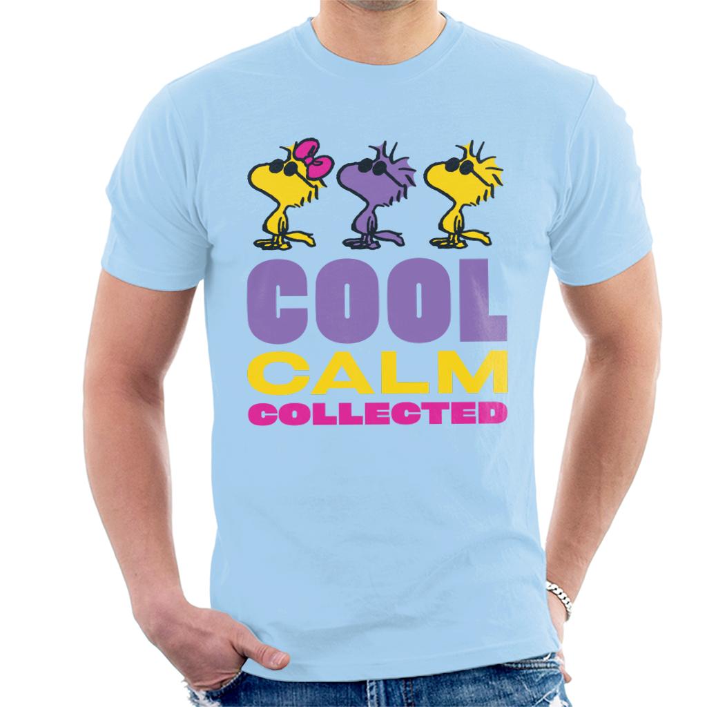 Peanuts Woodstock Cool Calm Collected Men's T-Shirt-ALL + EVERY