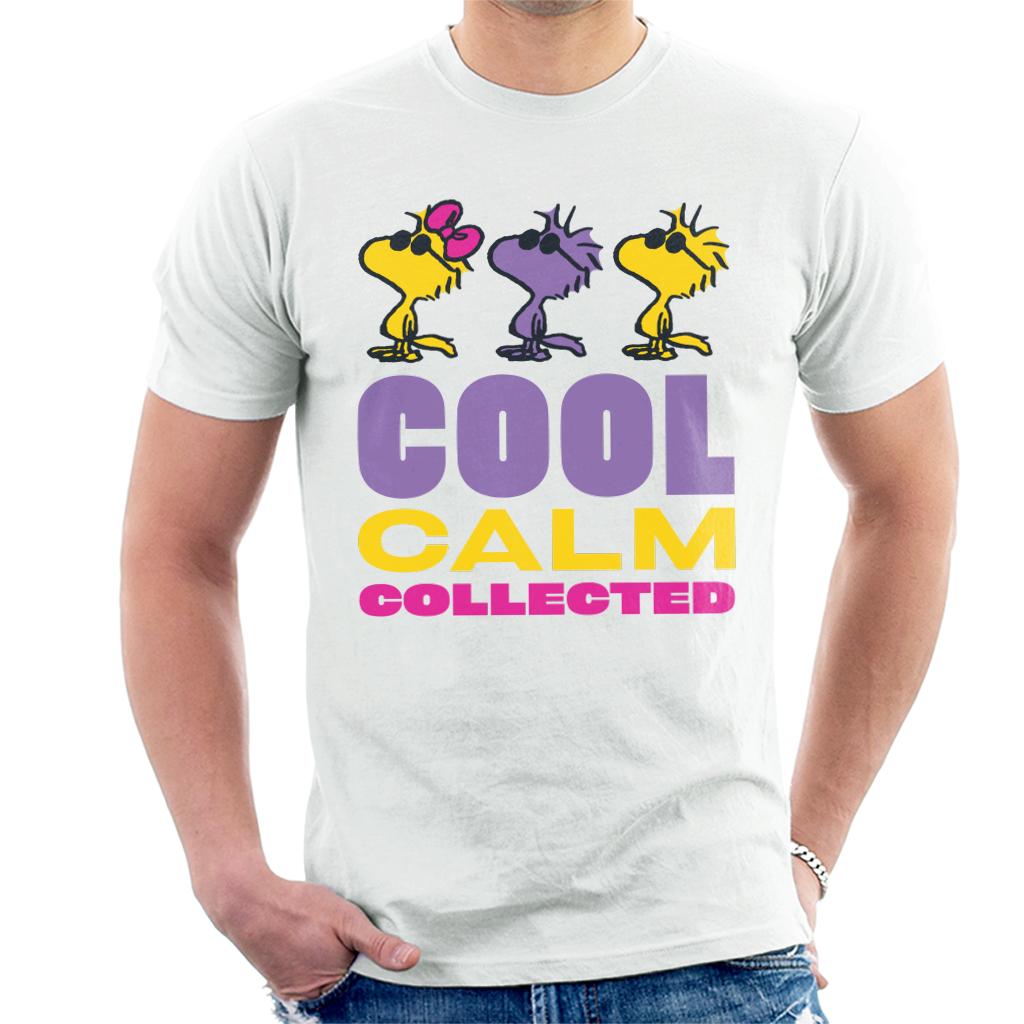 Peanuts Woodstock Cool Calm Collected Men's T-Shirt-ALL + EVERY