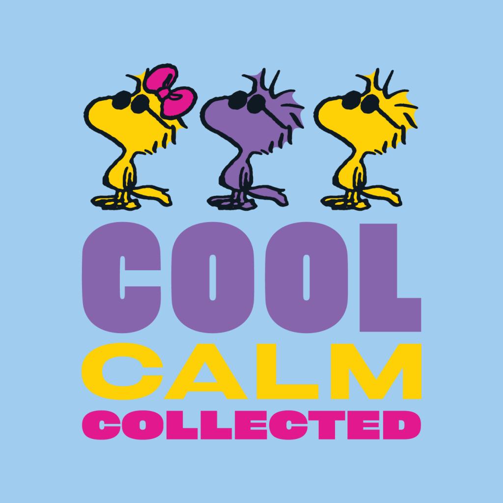 Peanuts Woodstock Cool Calm Collected Men's Sweatshirt-ALL + EVERY