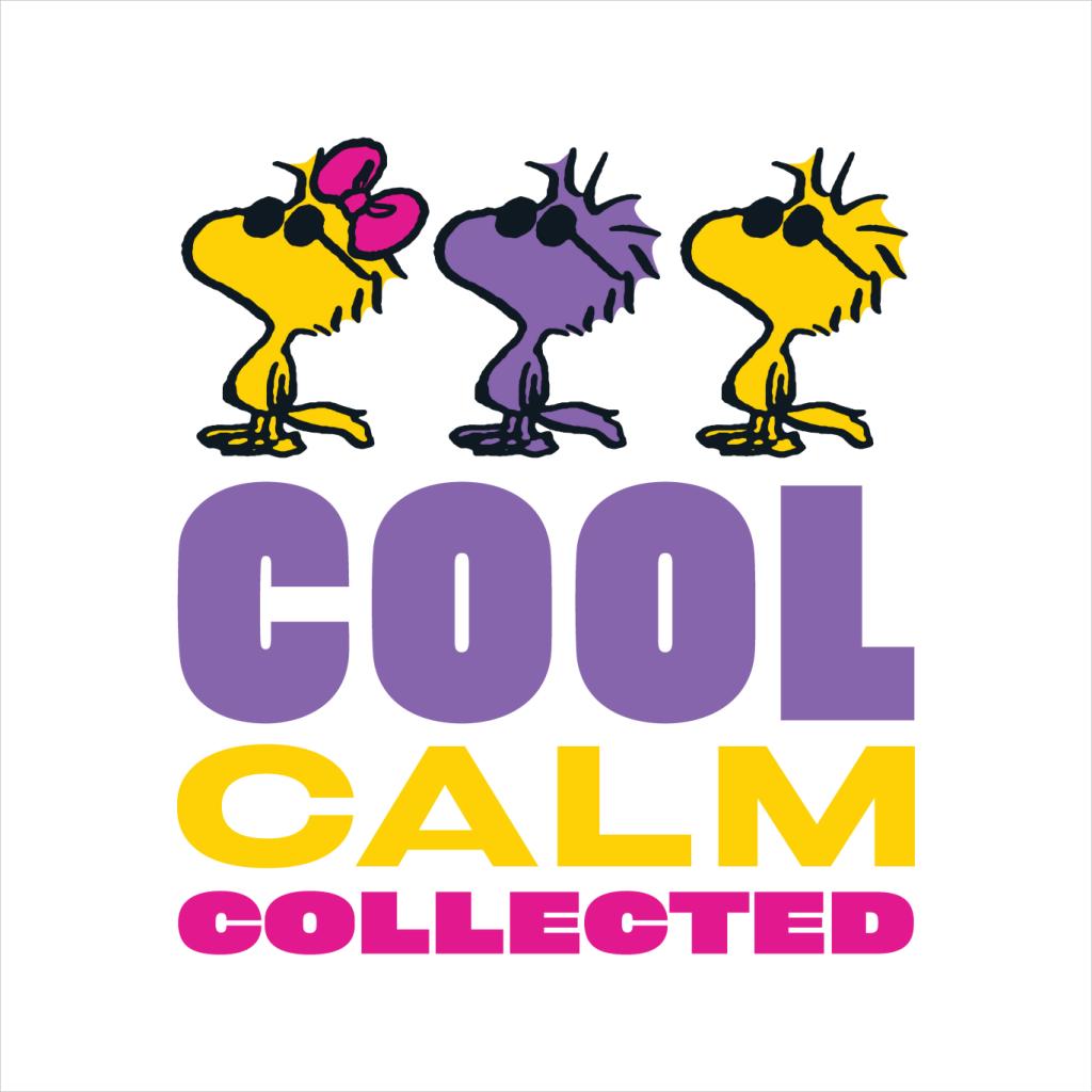 Peanuts Woodstock Cool Calm Collected Men's T-Shirt-ALL + EVERY