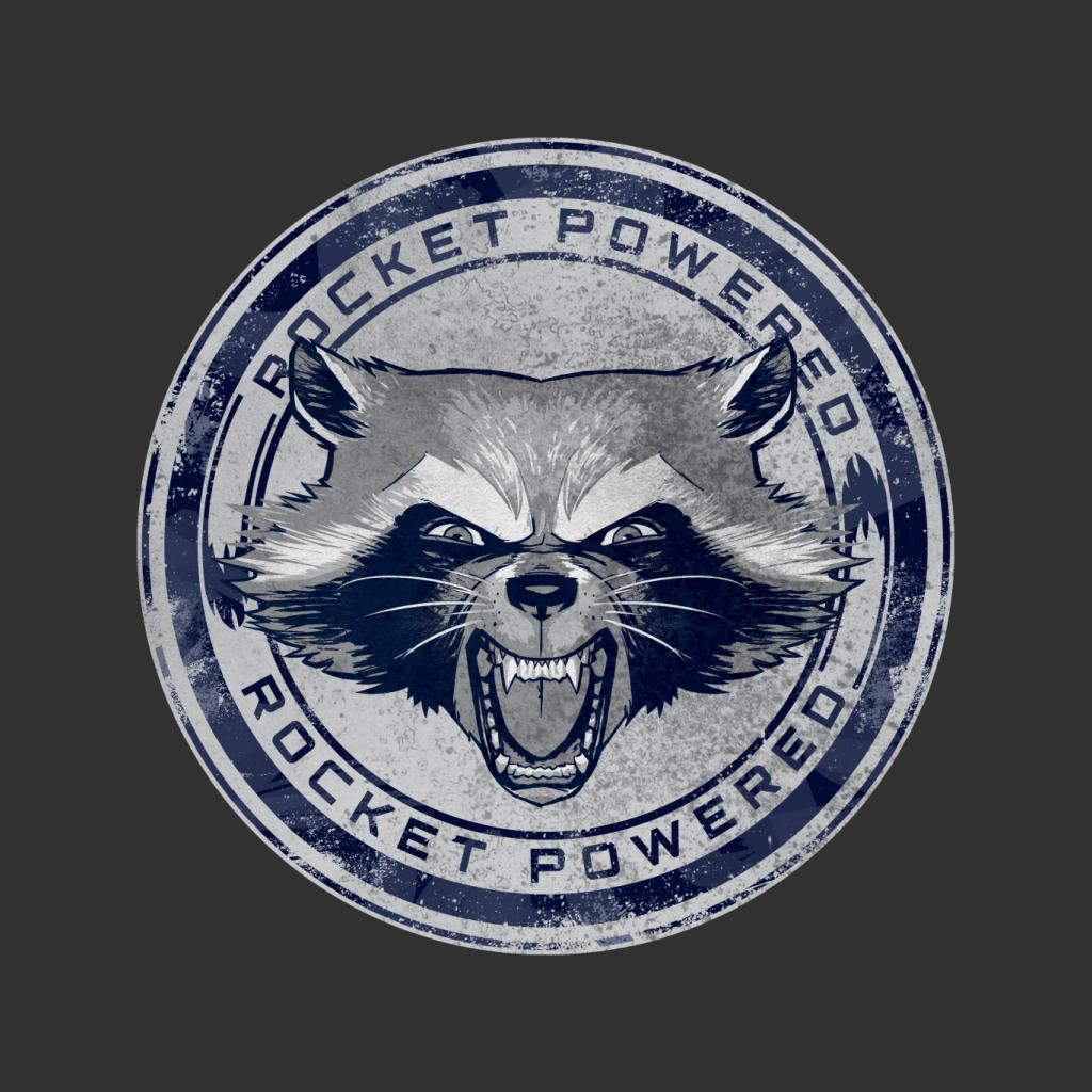 Marvel Guardians Of The Galaxy Rocket Raccoon Powered Women's T-Shirt-ALL + EVERY