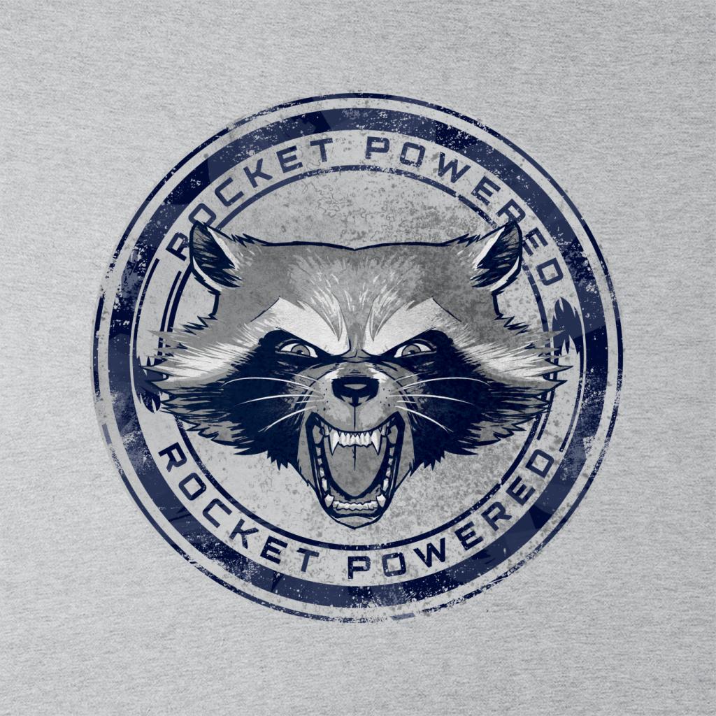 Marvel Guardians Of The Galaxy Rocket Raccoon Powered Kid's Sweatshirt-ALL + EVERY