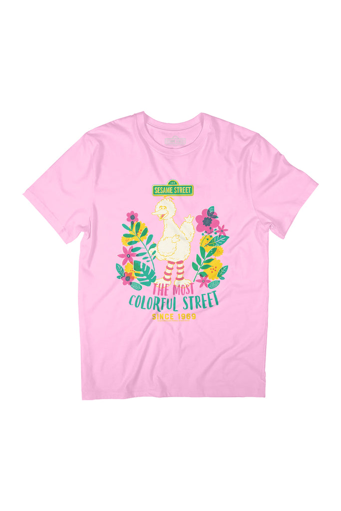 Sesame Street Big Bird The Most Colorful Street Women's Relaxed Fit T-Shirt-ALL + EVERY