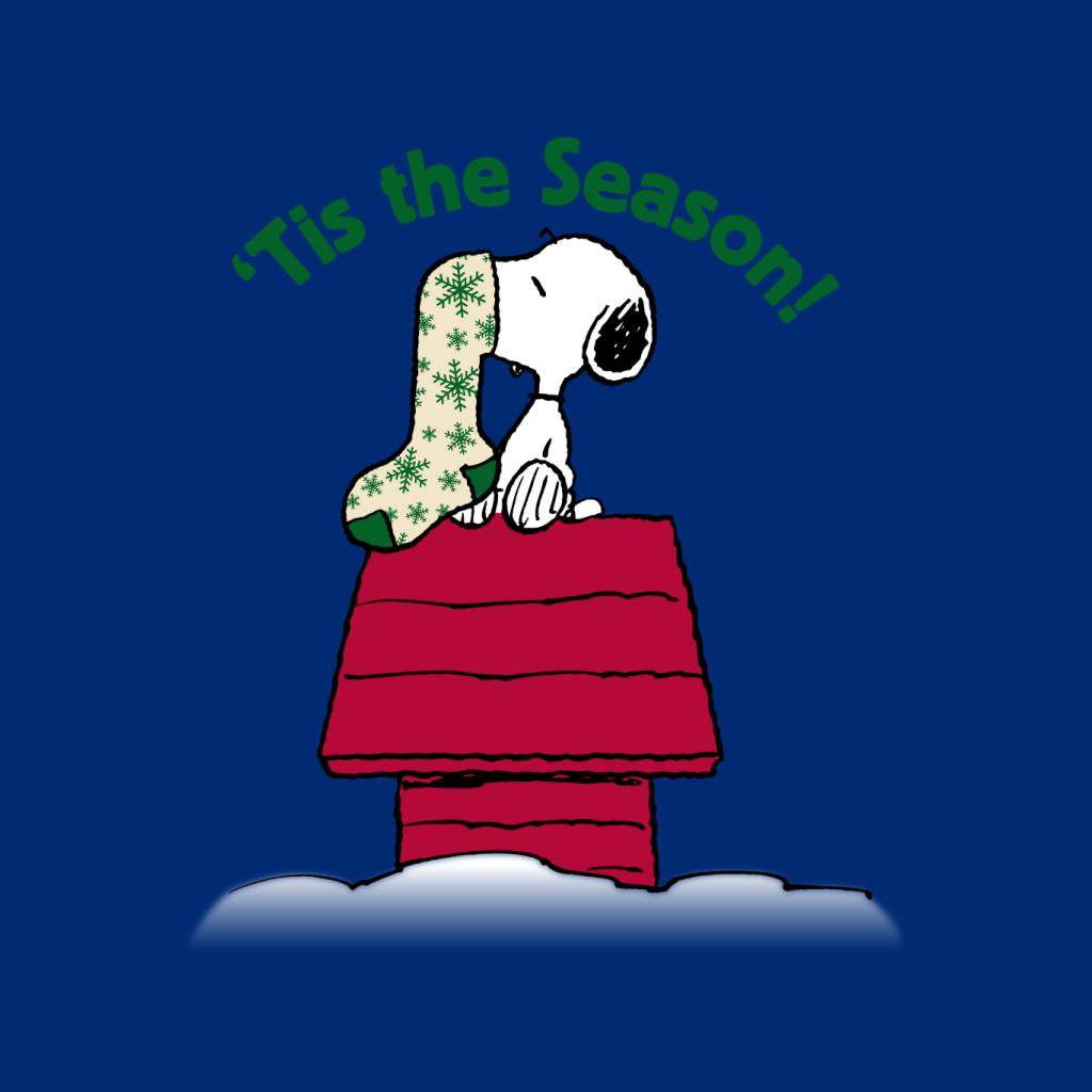 Peanuts Snoopy Tis The Season Festive Stocking Women's Sweatshirt-ALL + EVERY