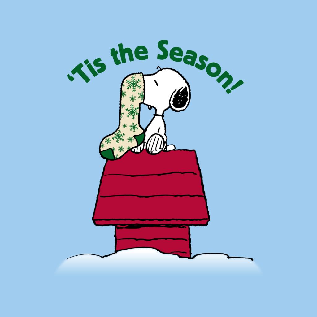 Peanuts Snoopy Tis The Season Festive Stocking Men's Hooded Sweatshirt-ALL + EVERY