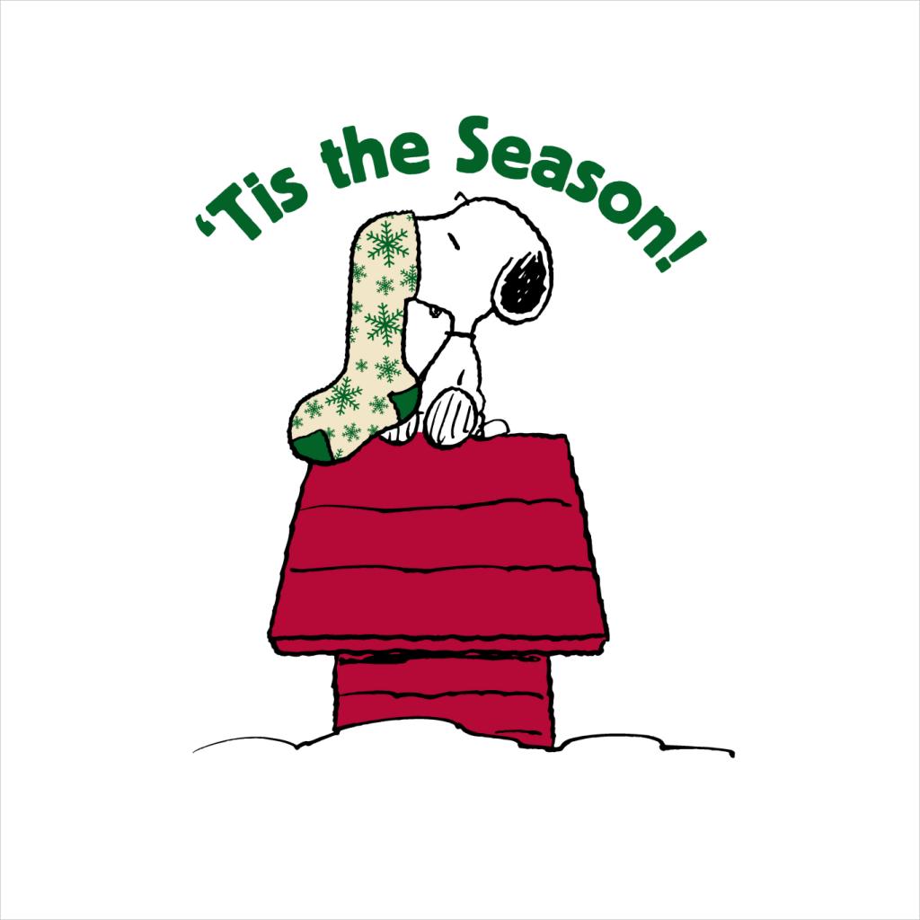 Peanuts Snoopy Tis The Season Festive Stocking Women's Sweatshirt-ALL + EVERY