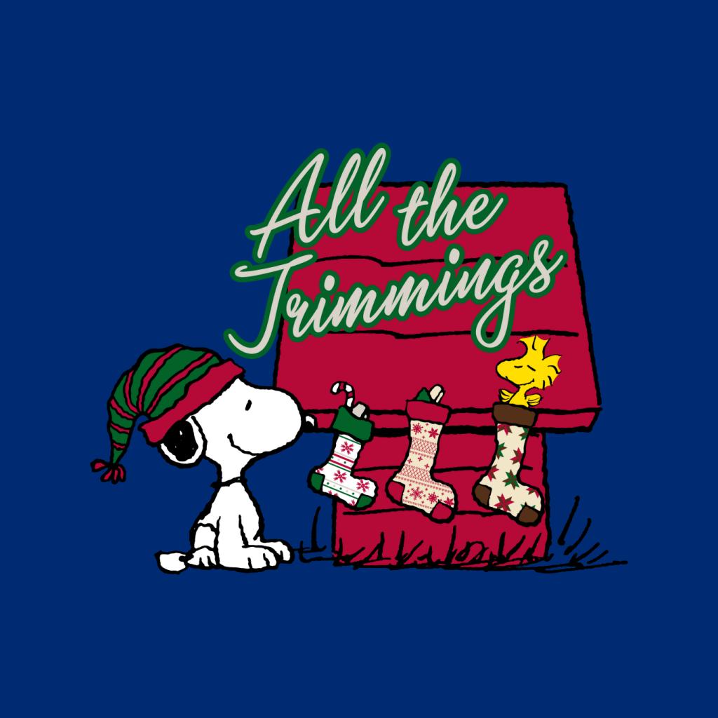 Peanuts Snoopy Woodstock In A Stocking Women's T-Shirt-ALL + EVERY