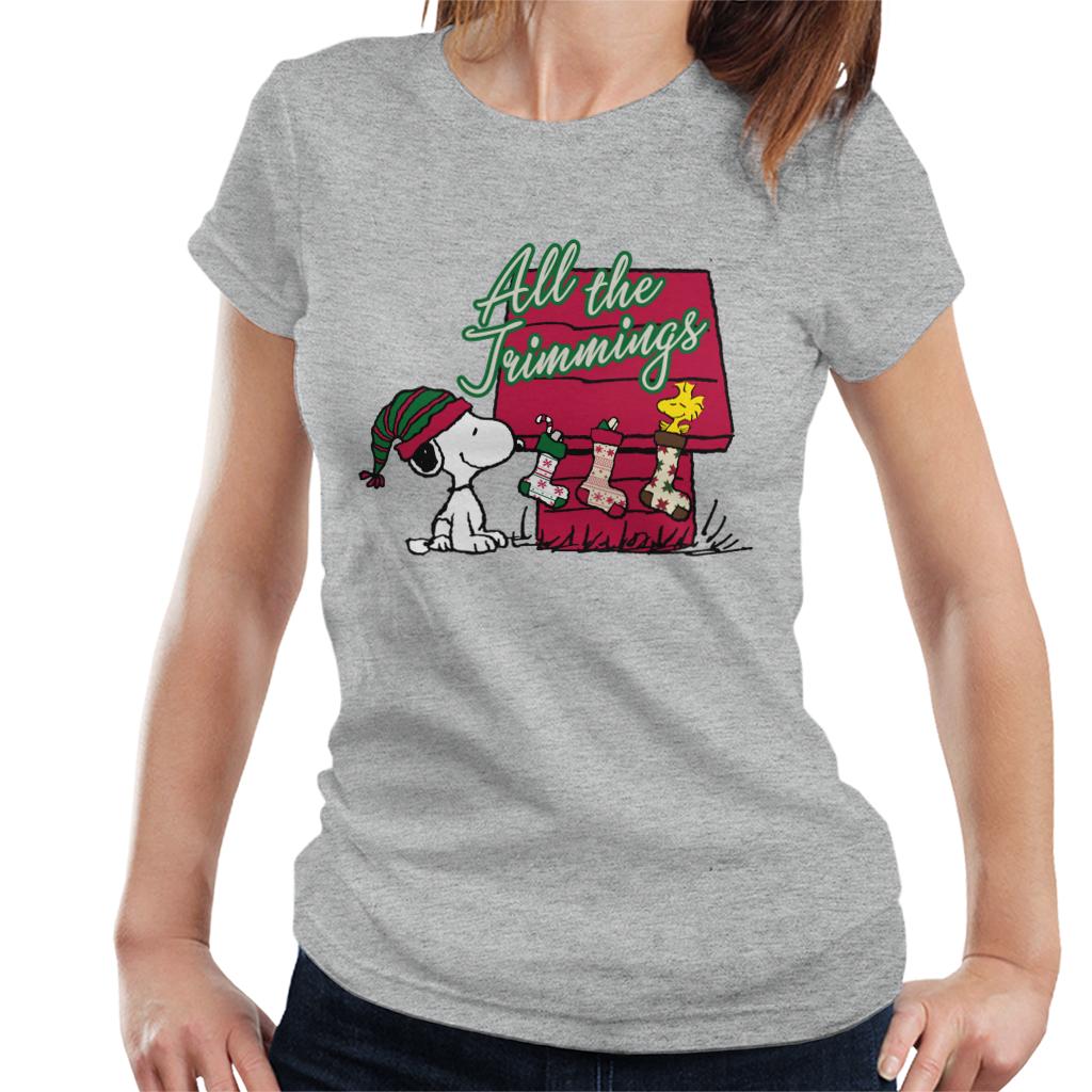 Peanuts Snoopy Woodstock In A Stocking Women's T-Shirt-ALL + EVERY