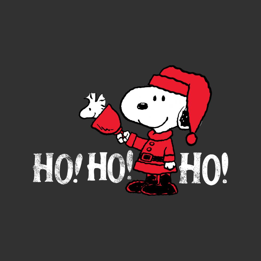 Peanuts Snoopy In A Santa Suit Ho Ho Ho Women's Hooded Sweatshirt-ALL + EVERY