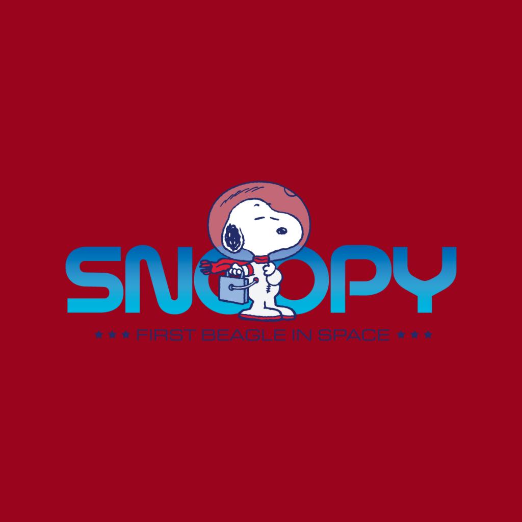 Peanuts Snoopy Beagle Roaming In Space Men's Sweatshirt-ALL + EVERY