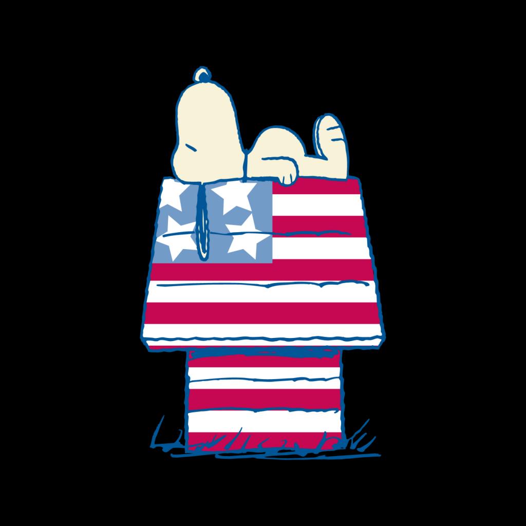 Peanuts Snoopy Patriotic Kennel Men's Hooded Sweatshirt-ALL + EVERY