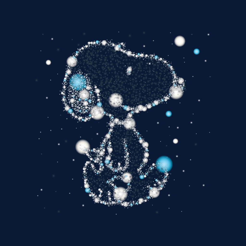 Peanuts Snoopy Astronomical Christmas Men's Hooded Sweatshirt-ALL + EVERY