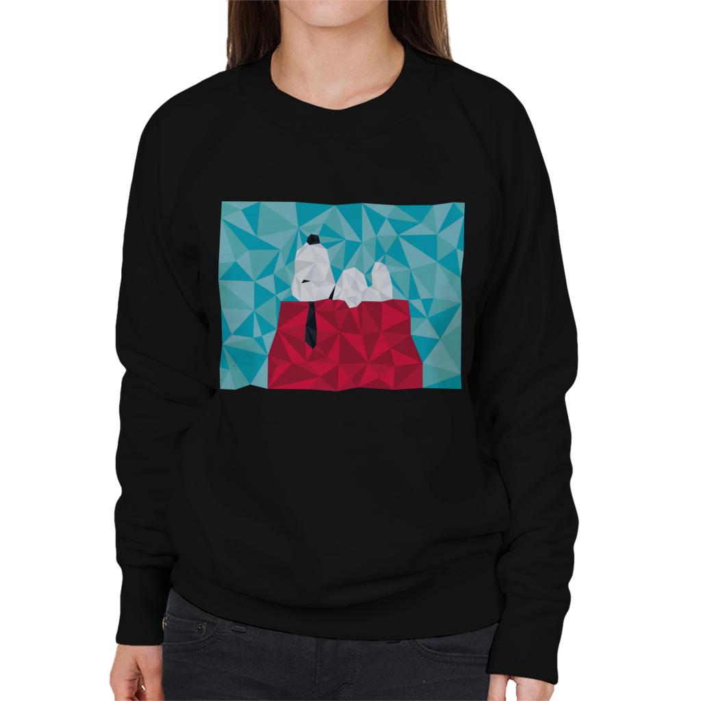 Peanuts Snoopy Geometric Kennel Women's Sweatshirt-ALL + EVERY