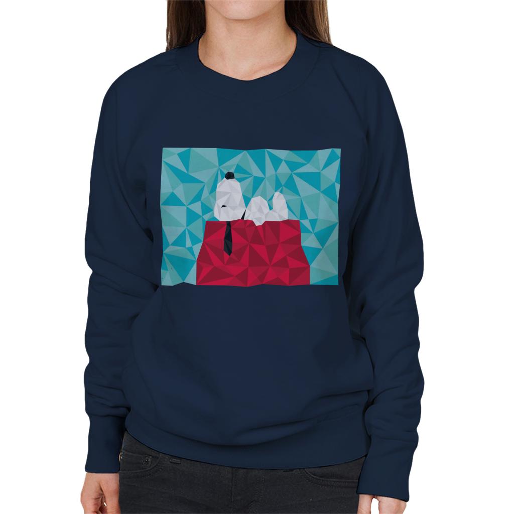 Peanuts Snoopy Geometric Kennel Women's Sweatshirt-ALL + EVERY