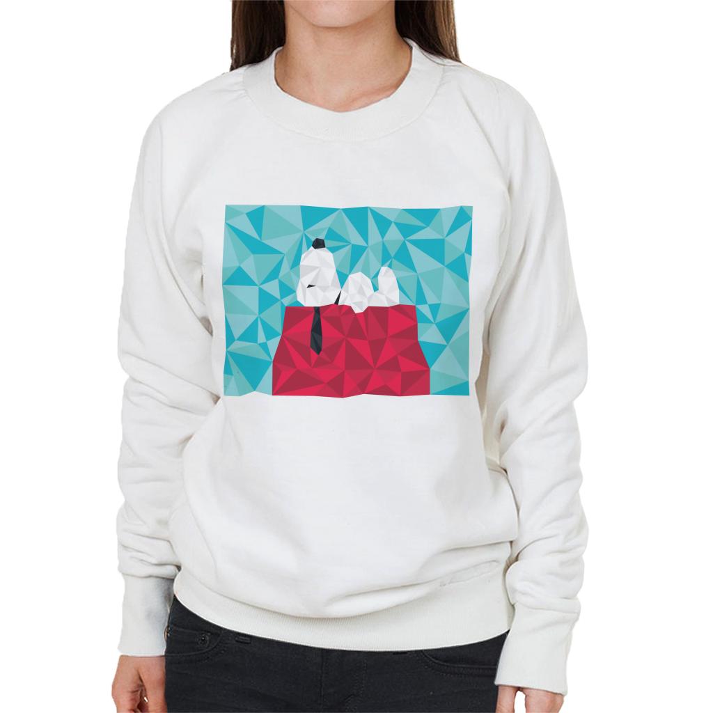 Peanuts Snoopy Geometric Kennel Women's Sweatshirt-ALL + EVERY