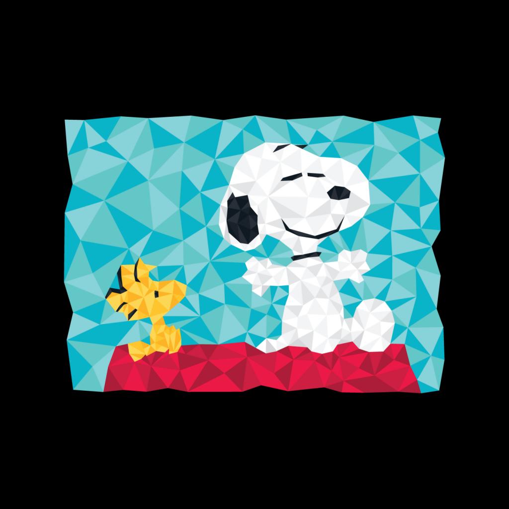 Peanuts Snoopy Woodstock Sitting On Kennel Geometric Women's T-Shirt-ALL + EVERY