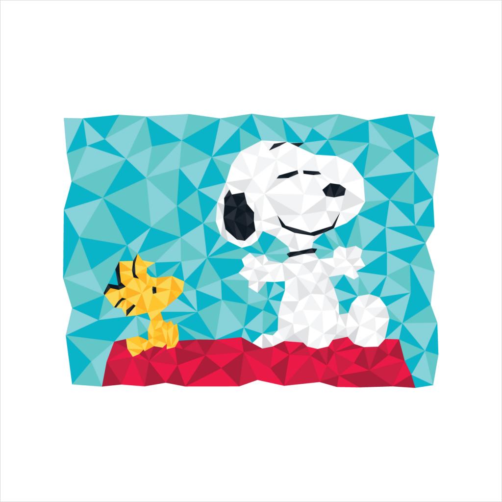 Peanuts Snoopy Woodstock Sitting On Kennel Geometric Women's T-Shirt-ALL + EVERY