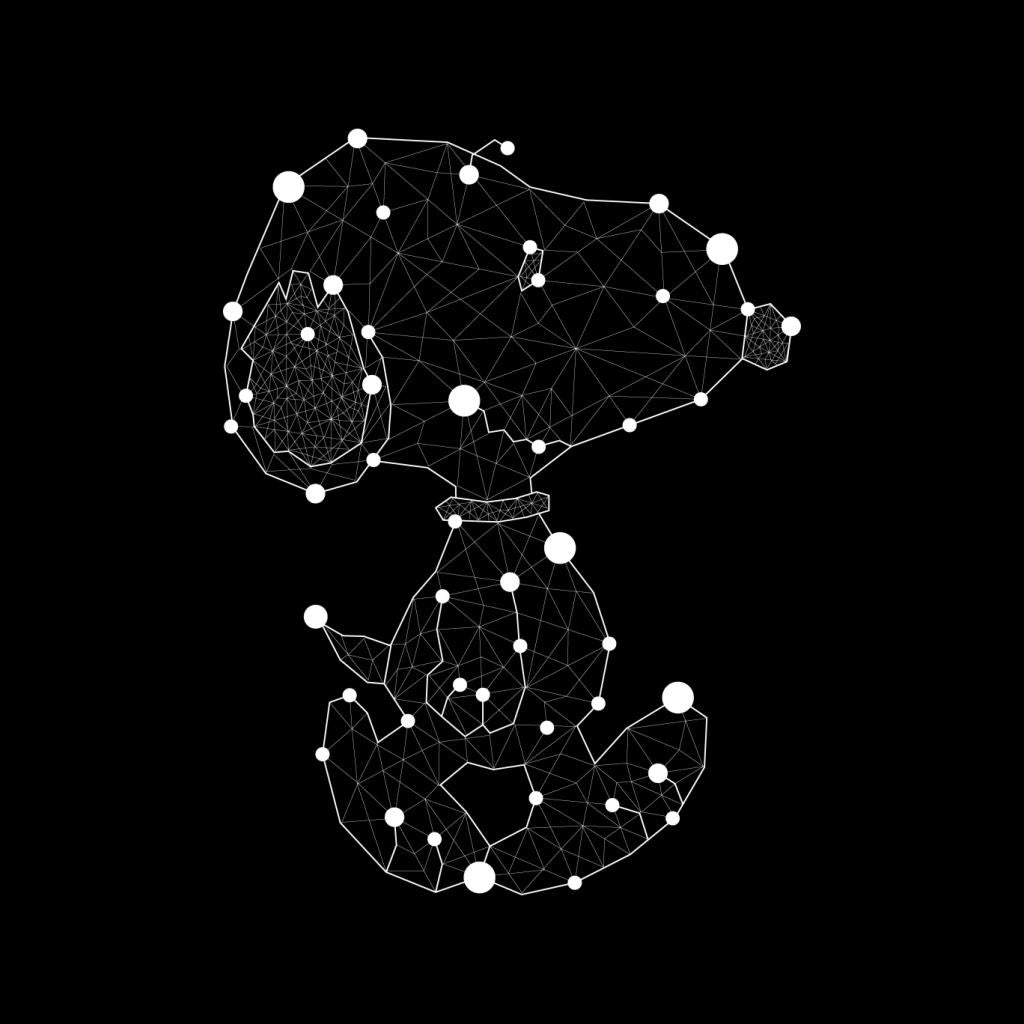 Peanuts Geometric Snoopy Men's Sweatshirt-ALL + EVERY