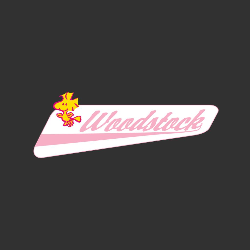 Peanuts Woodstock Baseball Text Men's Sweatshirt-ALL + EVERY