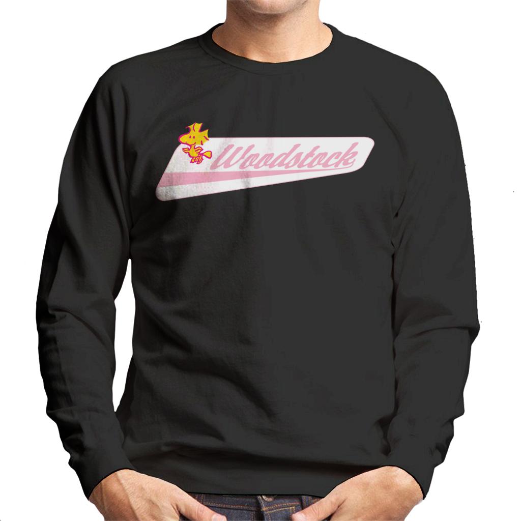Peanuts Woodstock Baseball Text Men's Sweatshirt-ALL + EVERY