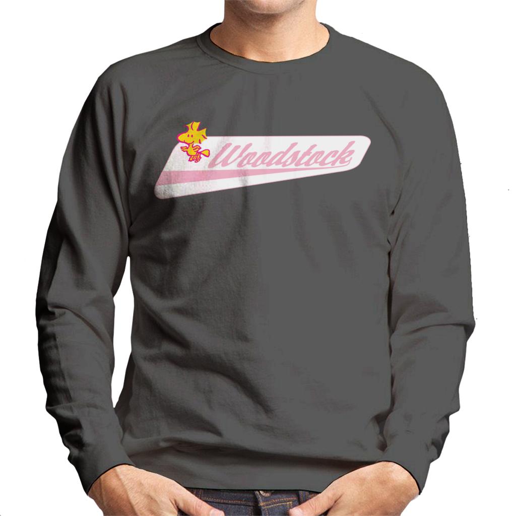 Peanuts Woodstock Baseball Text Men's Sweatshirt-ALL + EVERY
