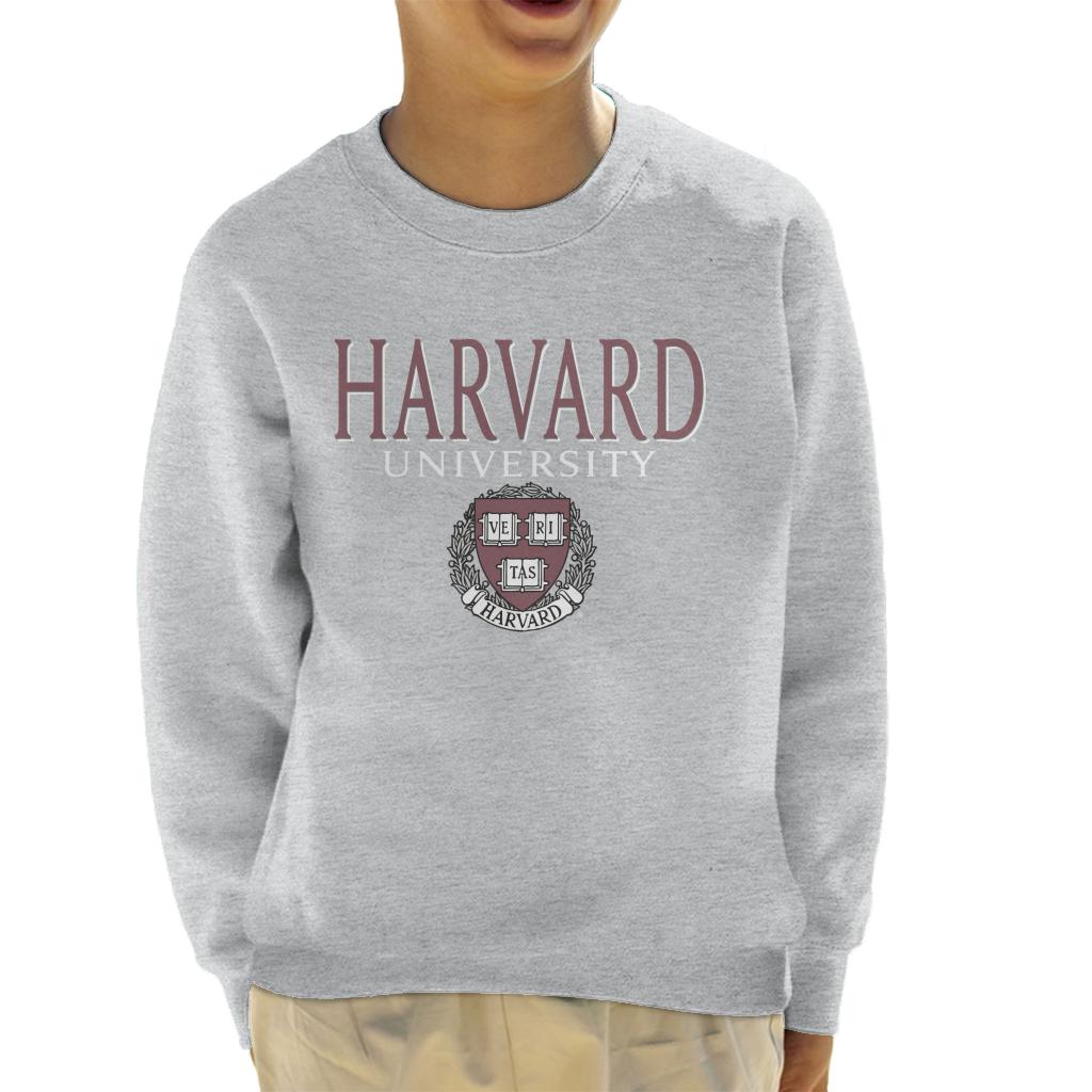 Harvard University Faded Veritas Crest Kid's Sweatshirt-ALL + EVERY