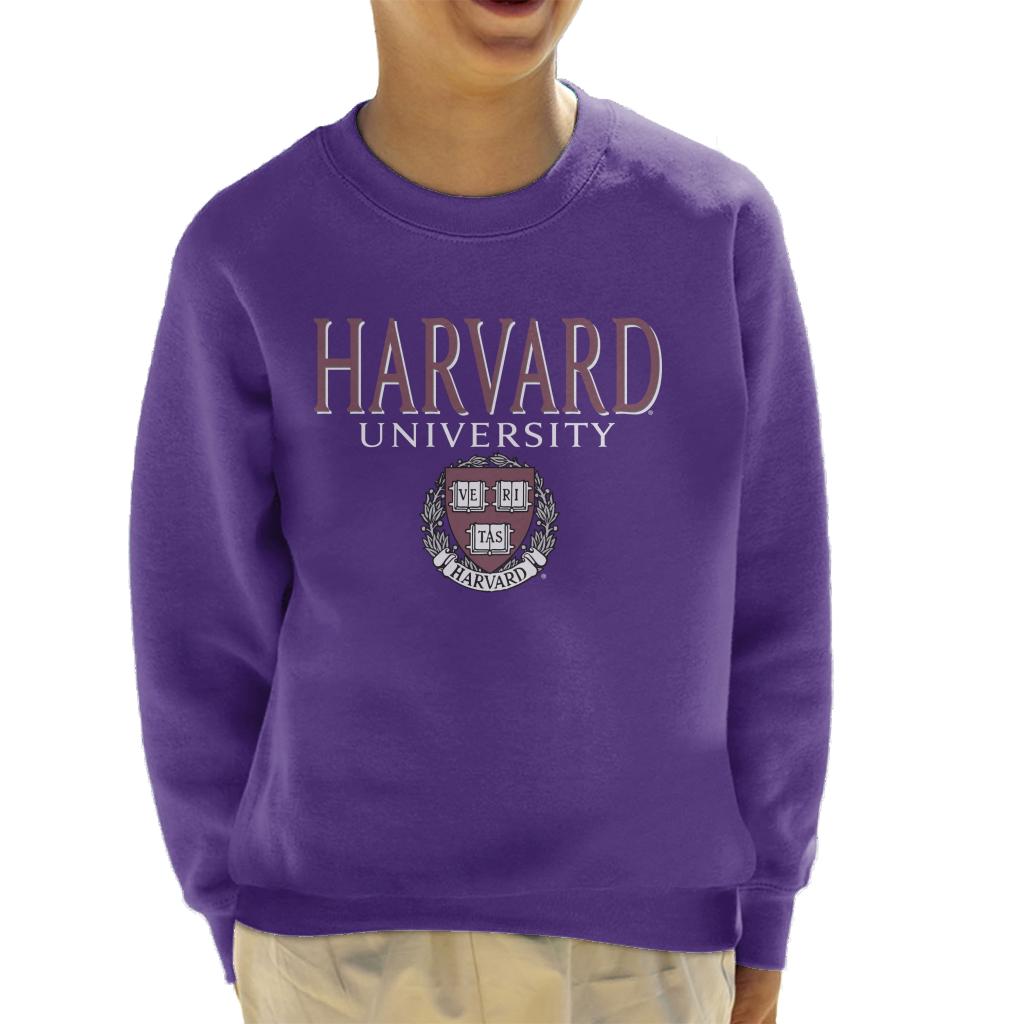 Harvard University Faded Veritas Crest Kid's Sweatshirt-ALL + EVERY