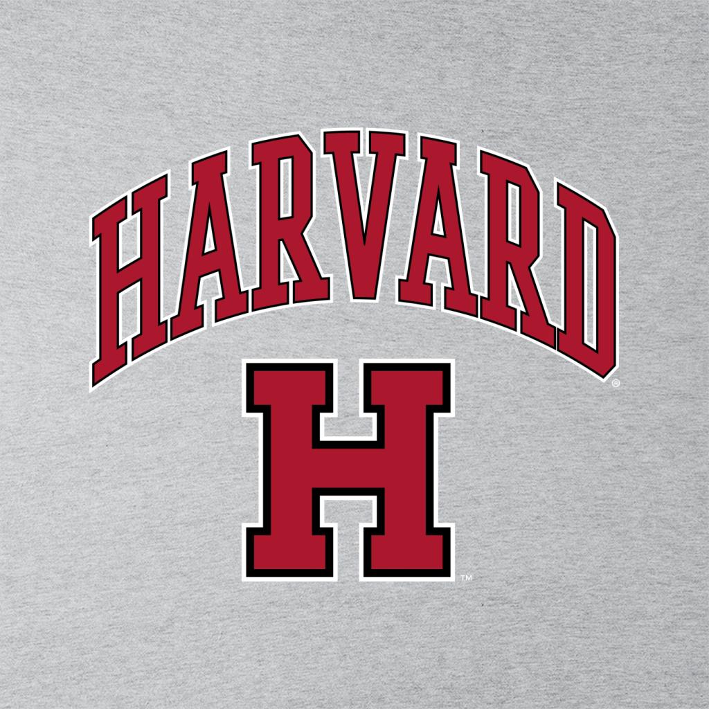 Harvard University Varsity Sports Logo Kid's Sweatshirt-ALL + EVERY