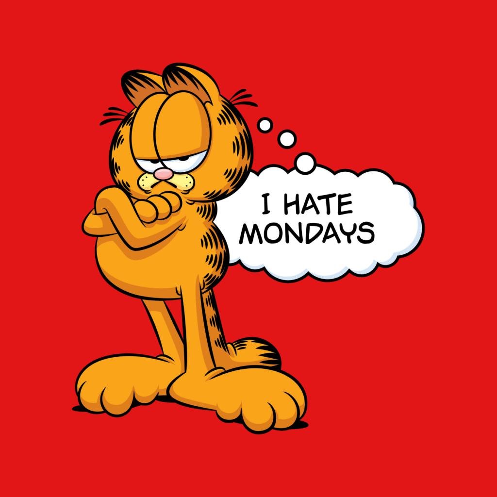 Garfield I Hate Mondays Kid's Hooded Sweatshirt-ALL + EVERY