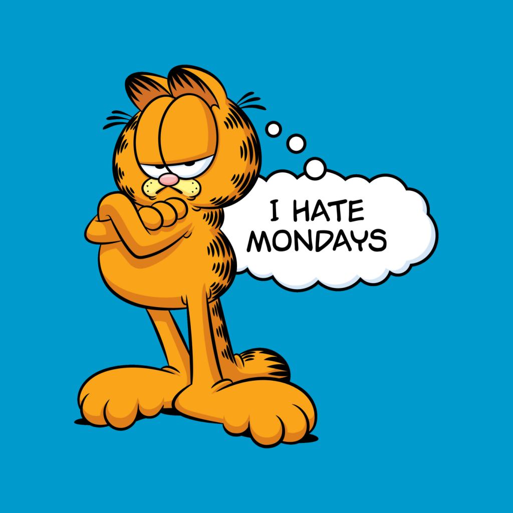 Garfield I Hate Mondays Women's Hooded Sweatshirt-ALL + EVERY