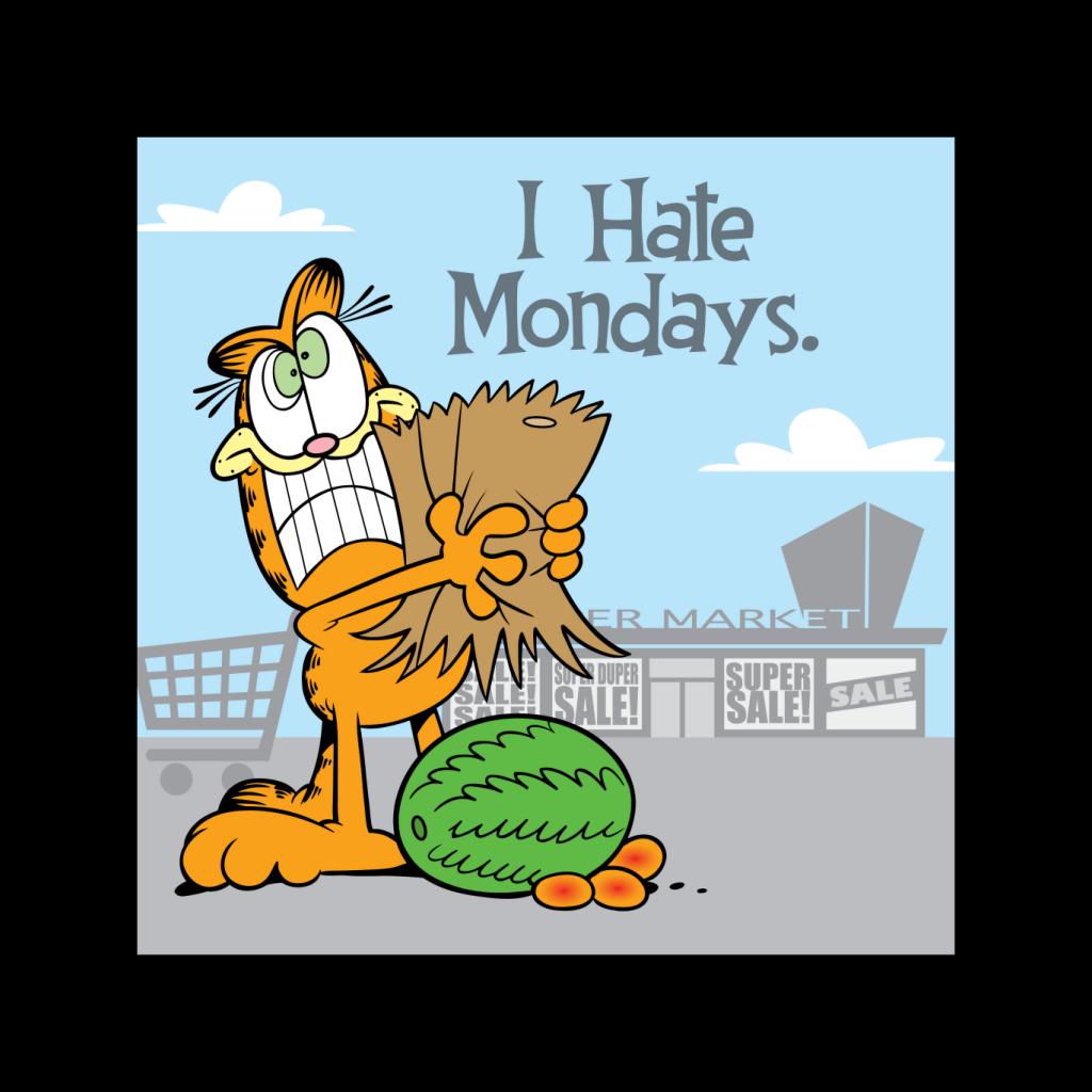 Garfield Grocery Shopping Hate Mondays Women's Hooded Sweatshirt-ALL + EVERY