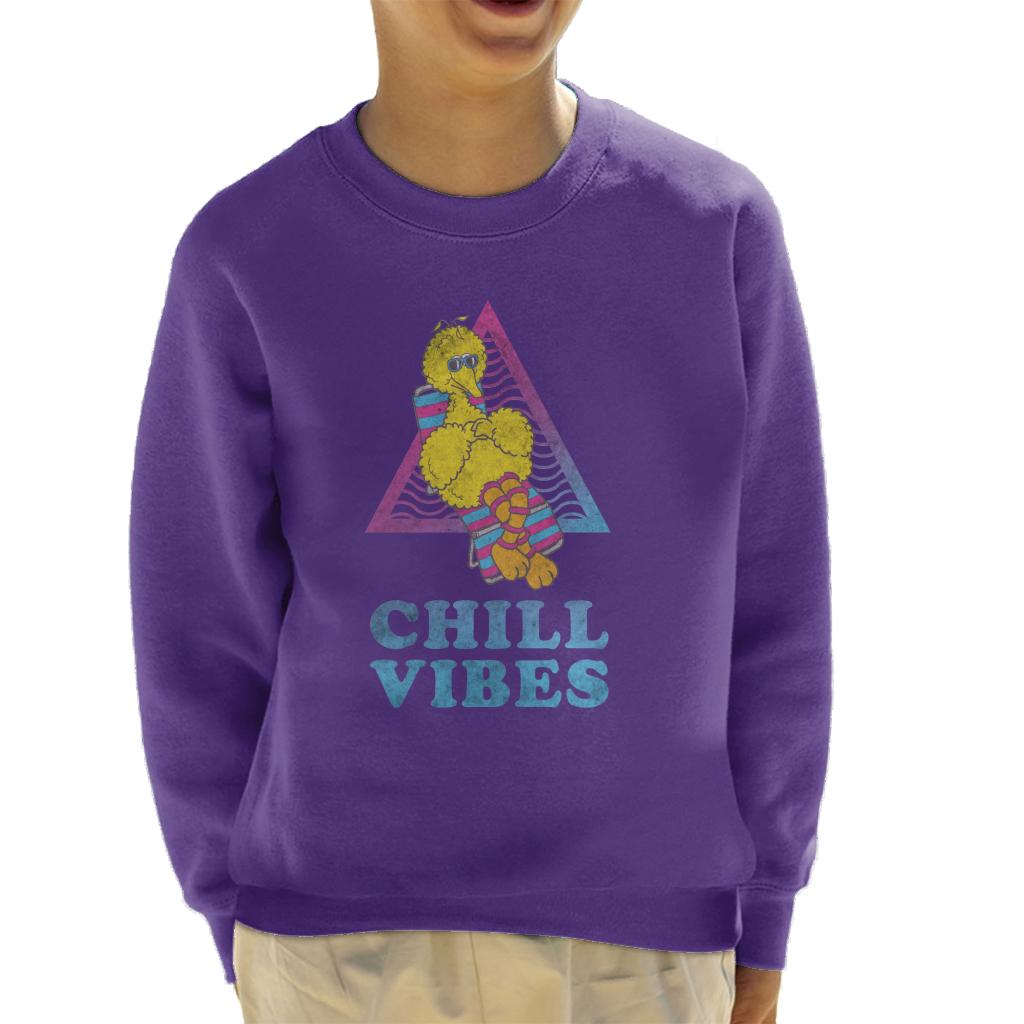 Sesame Street Big Bird Chill Vibes Kid's Sweatshirt-ALL + EVERY