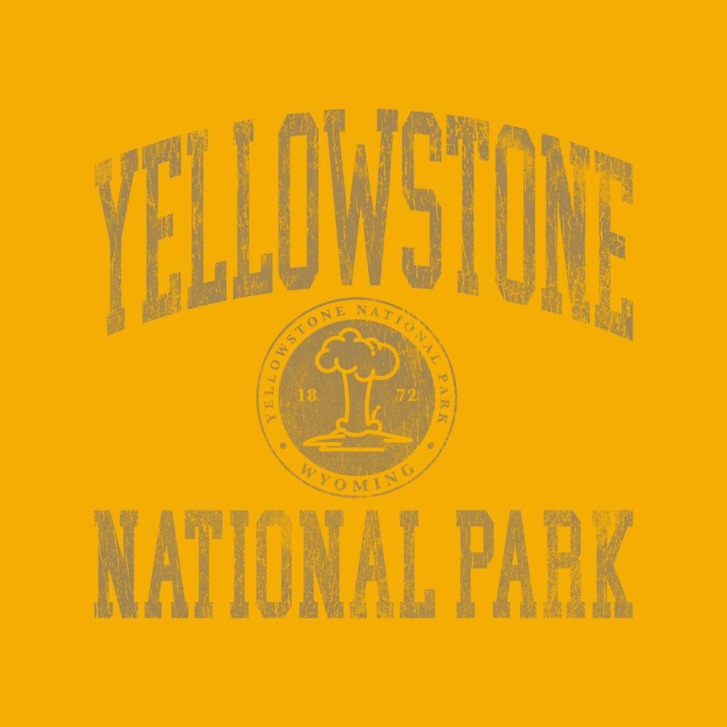 US National Parks Yellowstone Wyoming Men's Hooded Sweatshirt-ALL + EVERY