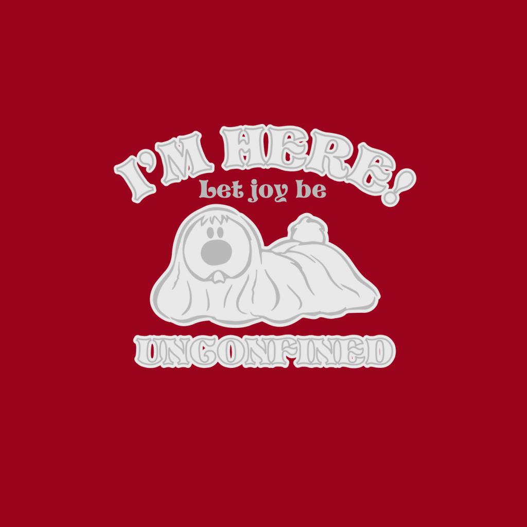 The Magic Roundabout Dougal Let Joy Be Unconfined Women's T-Shirt-ALL + EVERY