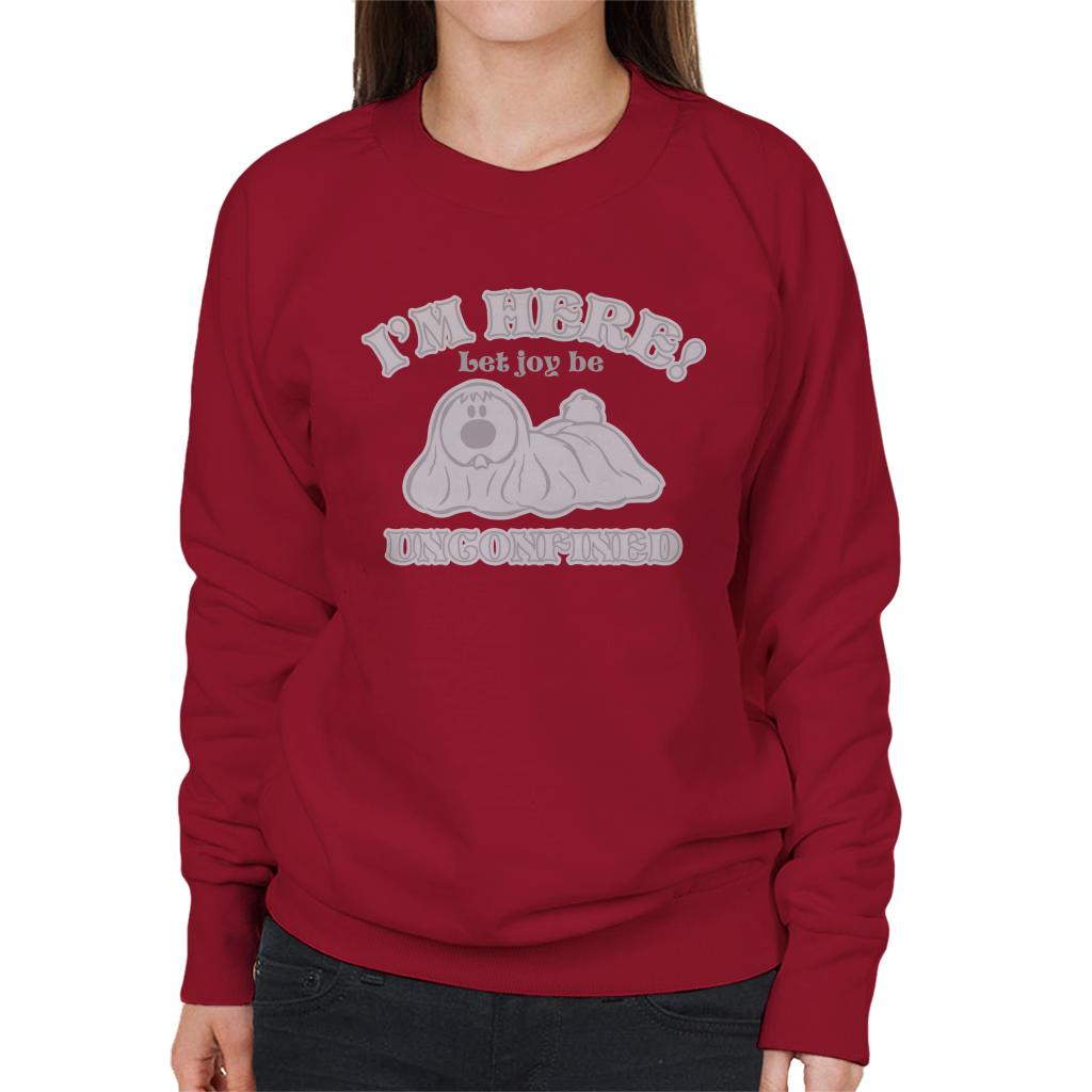 The Magic Roundabout Dougal Let Joy Be Unconfined Women's Sweatshirt-ALL + EVERY