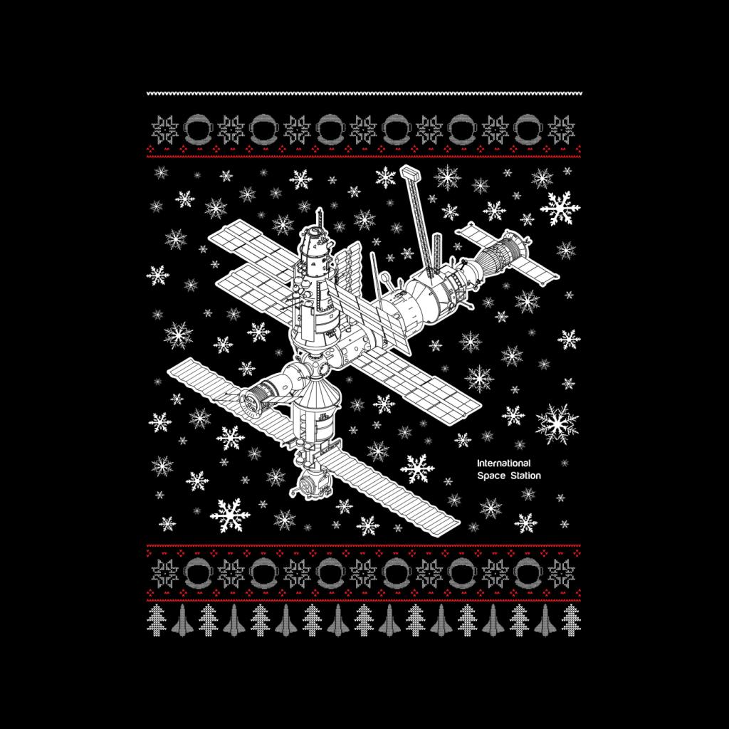 NASA International Space Station Christmas Knit Kids T-Shirt-ALL + EVERY