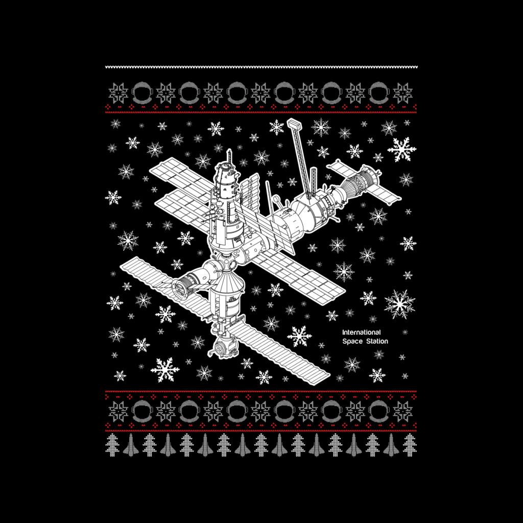 NASA International Space Station Christmas Knit Kids Sweatshirt-ALL + EVERY