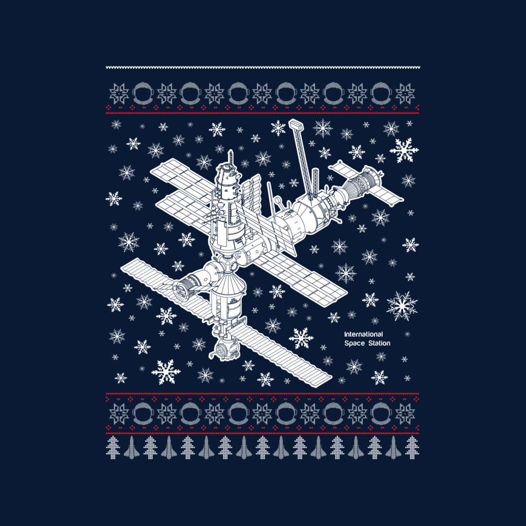 NASA International Space Station Christmas Knit Men's Sweatshirt-ALL + EVERY