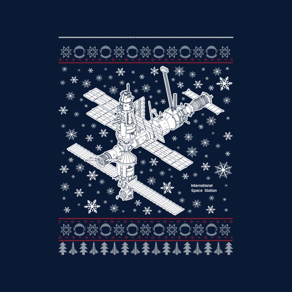 NASA International Space Station Christmas Knit Women's T-Shirt-ALL + EVERY