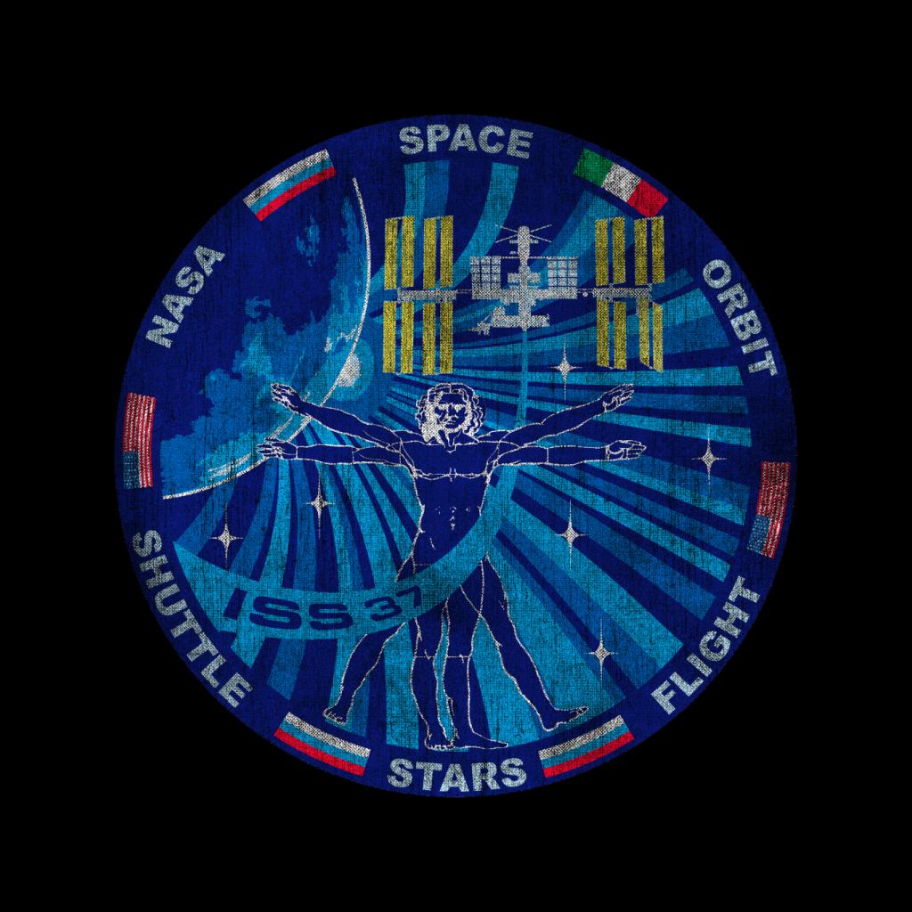 NASA ISS Expedition 37 Mission Badge Distressed Kids Sweatshirt-ALL + EVERY
