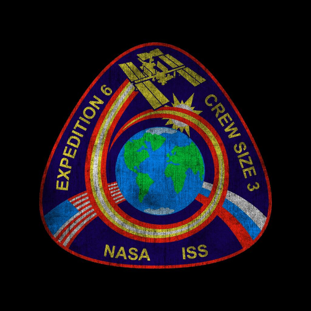 NASA ISS Expedition 6 STS 113 Mission Badge Distressed Kids T-Shirt-ALL + EVERY