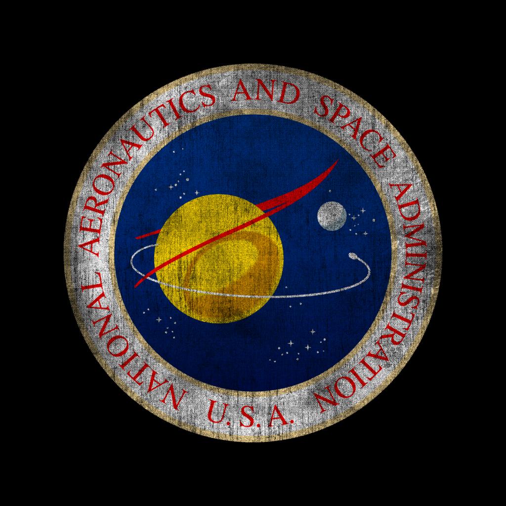 NASA Seal Insignia Distressed Kids Sweatshirt-ALL + EVERY