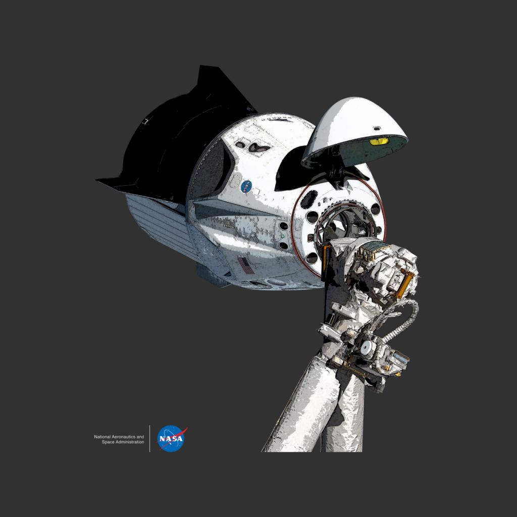 NASA SpaceX Dragon Capsule At The ISS Kid's Sweatshirt-ALL + EVERY